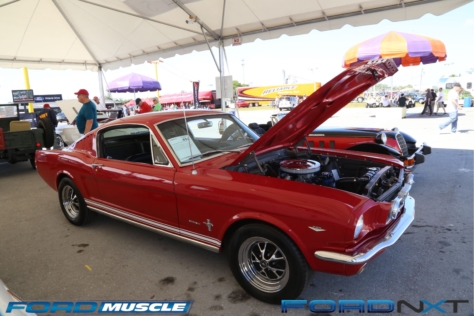 a-blue-oval-bonanza-at-barrett-jackson-in-west-palm-beach-2018-04-22_04-33-32_697591