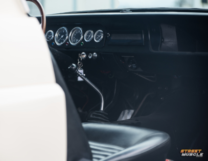 driven-1965-shelby-gt350-competition-model-2018-04-27_16-13-04_340075