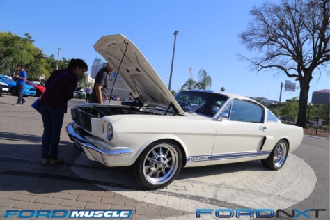 mustang-birthday-party-attracts-one-nearly-every-model-year-2018-04-22_02-30-25_390139