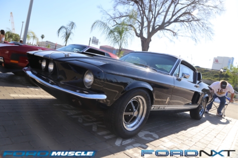 mustang-birthday-party-attracts-one-nearly-every-model-year-2018-04-22_02-30-52_021270