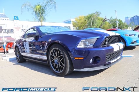 mustang-birthday-party-attracts-one-nearly-every-model-year-2018-04-22_02-31-20_214236