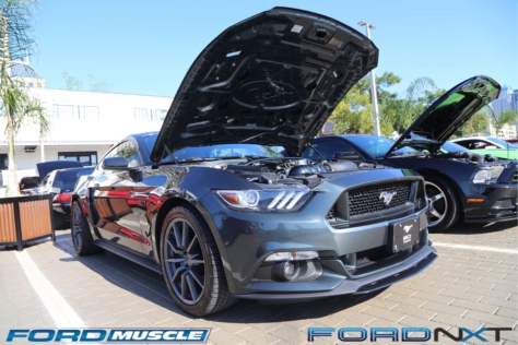 mustang-birthday-party-attracts-one-nearly-every-model-year-2018-04-22_02-33-14_462722