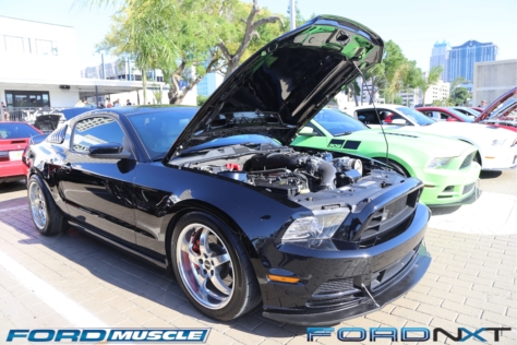 mustang-birthday-party-attracts-one-nearly-every-model-year-2018-04-22_02-34-11_568170