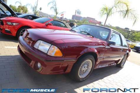 mustang-birthday-party-attracts-one-nearly-every-model-year-2018-04-22_02-34-39_565935