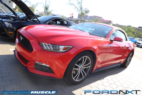 mustang-birthday-party-attracts-one-nearly-every-model-year-2018-04-22_02-35-07_477241