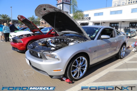 mustang-birthday-party-attracts-one-nearly-every-model-year-2018-04-22_02-36-05_190043