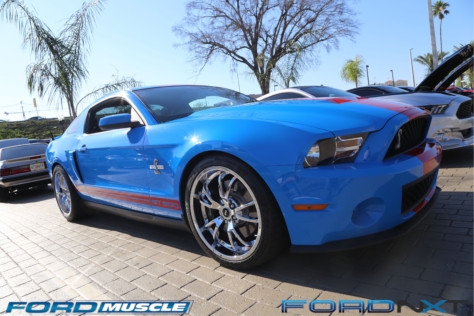 mustang-birthday-party-attracts-one-nearly-every-model-year-2018-04-22_02-36-32_765134