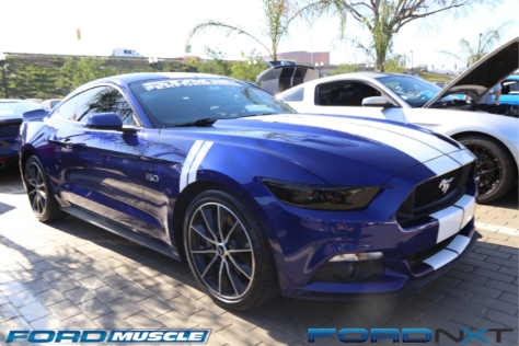 mustang-birthday-party-attracts-one-nearly-every-model-year-2018-04-22_02-37-30_087870