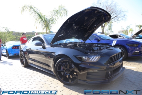 mustang-birthday-party-attracts-one-nearly-every-model-year-2018-04-22_02-37-57_502909