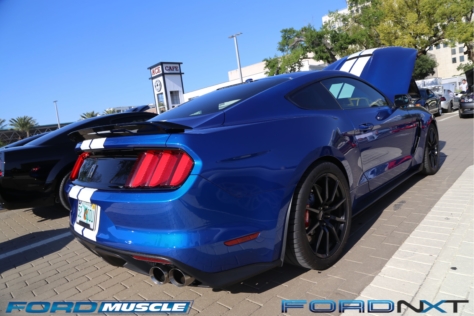 mustang-birthday-party-attracts-one-nearly-every-model-year-2018-04-22_02-39-23_258385