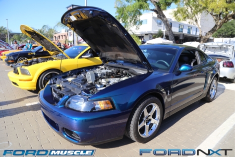 mustang-birthday-party-attracts-one-nearly-every-model-year-2018-04-22_02-40-17_352706