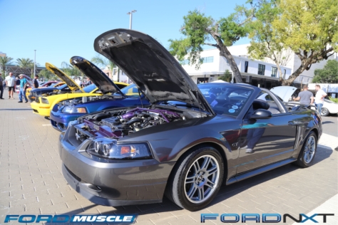 mustang-birthday-party-attracts-one-nearly-every-model-year-2018-04-22_02-40-47_264715