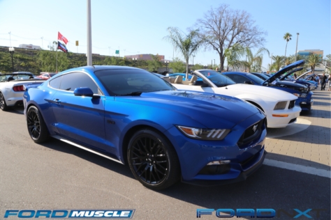 mustang-birthday-party-attracts-one-nearly-every-model-year-2018-04-22_02-42-13_405976