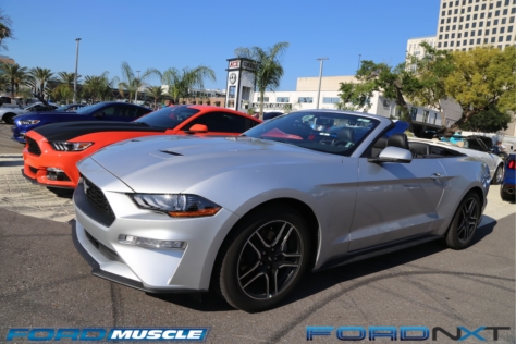 mustang-birthday-party-attracts-one-nearly-every-model-year-2018-04-22_02-42-40_474315
