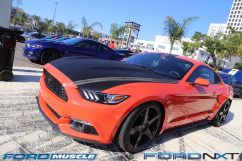 mustang-birthday-party-attracts-one-nearly-every-model-year-2018-04-22_02-43-37_006044