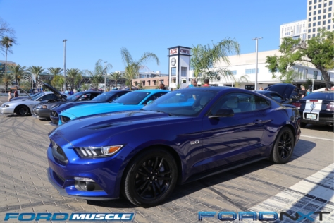 mustang-birthday-party-attracts-one-nearly-every-model-year-2018-04-22_02-44-05_146028