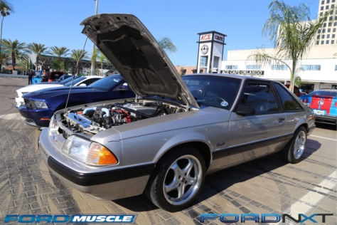 mustang-birthday-party-attracts-one-nearly-every-model-year-2018-04-22_02-45-52_816555