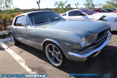 mustang-birthday-party-attracts-one-nearly-every-model-year-2018-04-22_02-47-12_262162