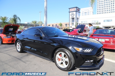 mustang-birthday-party-attracts-one-nearly-every-model-year-2018-04-22_02-48-34_840216