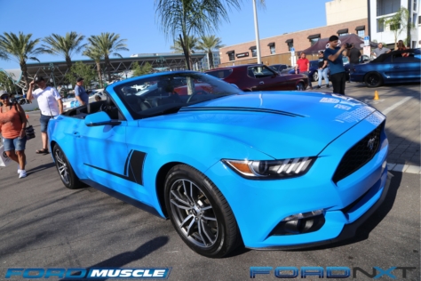 mustang-birthday-party-attracts-one-nearly-every-model-year-2018-04-22_02-49-03_285483