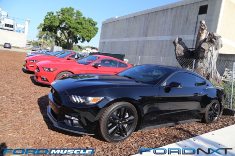 mustang-birthday-party-attracts-one-nearly-every-model-year-2018-04-22_02-49-31_354862