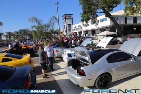 mustang-birthday-party-attracts-one-nearly-every-model-year-2018-04-22_02-50-09_130057