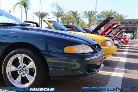mustang-birthday-party-attracts-one-nearly-every-model-year-2018-04-22_02-51-28_459753