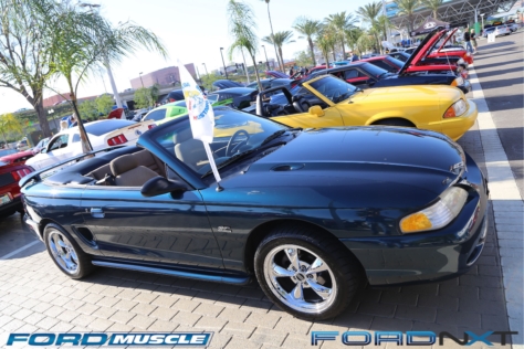 mustang-birthday-party-attracts-one-nearly-every-model-year-2018-04-22_02-51-55_106306