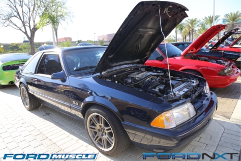 mustang-birthday-party-attracts-one-nearly-every-model-year-2018-04-22_02-52-23_117654