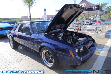 mustang-birthday-party-attracts-one-nearly-every-model-year-2018-04-22_02-53-17_256609
