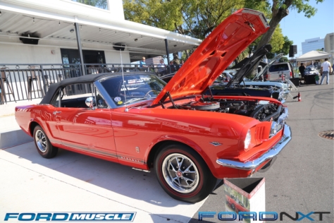 mustang-birthday-party-attracts-one-nearly-every-model-year-2018-04-22_02-55-41_364731