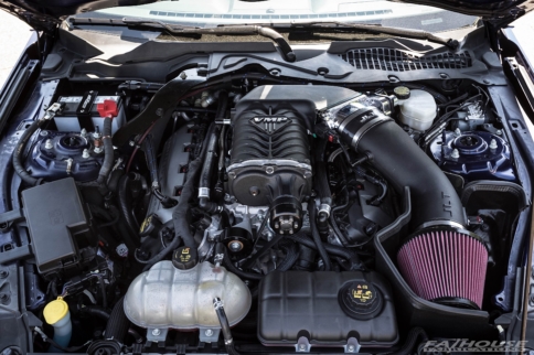 Gen3 TVS-Blown 2015 Mustang GT Rocks The Rollers With 814 RWHP