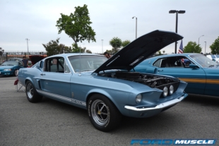 A Gathering Of Snakes & More At The Carroll Shelby Tribute Show