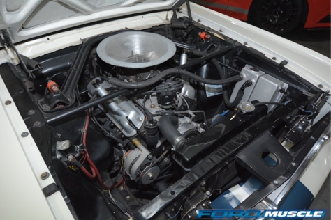 a-gathering-of-snakes-and-more-at-the-carroll-shelby-tribute-car-s-2018-05-25_19-17-44_646661