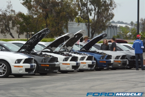 a-gathering-of-snakes-and-more-at-the-carroll-shelby-tribute-show-2018-05-26_03-07-43_121072
