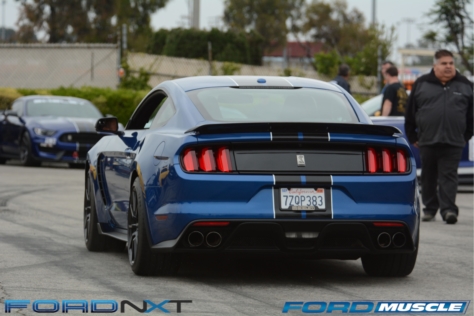a-gathering-of-snakes-and-more-at-the-carroll-shelby-tribute-show-2018-05-26_03-09-29_975100