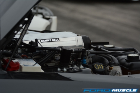 a-gathering-of-snakes-and-more-at-the-carroll-shelby-tribute-show-2018-05-26_03-11-04_586452