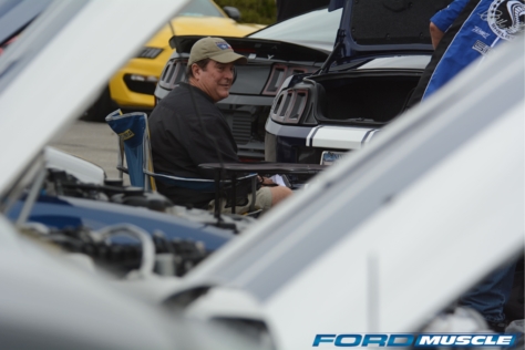 a-gathering-of-snakes-and-more-at-the-carroll-shelby-tribute-show-2018-05-26_03-11-32_786845