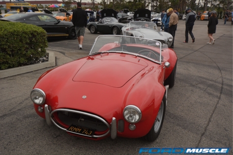 a-gathering-of-snakes-and-more-at-the-carroll-shelby-tribute-show-2018-05-26_03-14-42_563311