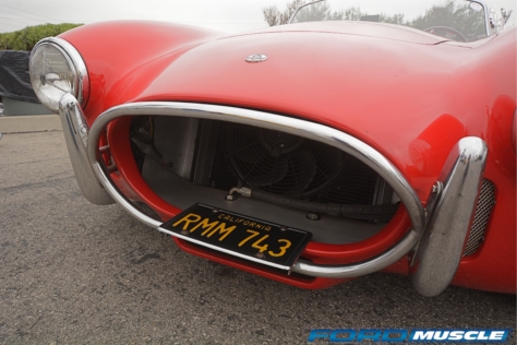 a-gathering-of-snakes-and-more-at-the-carroll-shelby-tribute-show-2018-05-26_03-15-10_961941