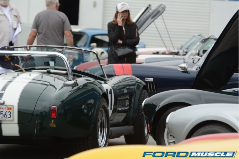 a-gathering-of-snakes-and-more-at-the-carroll-shelby-tribute-show-2018-05-26_03-16-36_008712