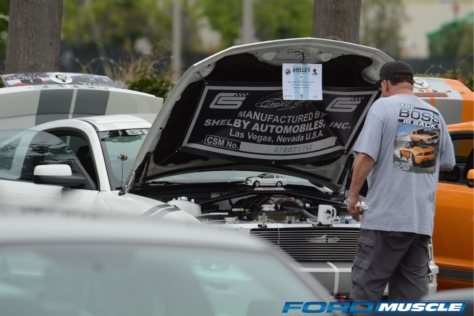 a-gathering-of-snakes-and-more-at-the-carroll-shelby-tribute-show-2018-05-26_03-17-26_817587