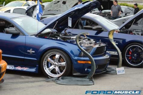 a-gathering-of-snakes-and-more-at-the-carroll-shelby-tribute-show-2018-05-26_03-17-58_150907