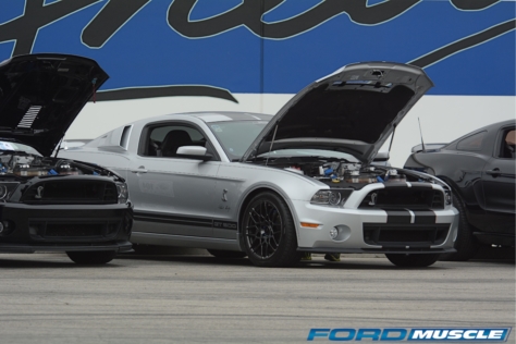 a-gathering-of-snakes-and-more-at-the-carroll-shelby-tribute-show-2018-05-26_03-20-42_216399