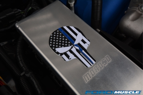 a-gathering-of-snakes-and-more-at-the-carroll-shelby-tribute-show-2018-05-26_03-21-11_488570