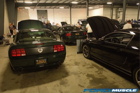 a-gathering-of-snakes-and-more-at-the-carroll-shelby-tribute-show-2018-05-26_03-22-09_601044