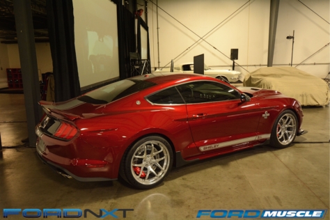 a-gathering-of-snakes-and-more-at-the-carroll-shelby-tribute-show-2018-05-26_03-24-08_454239