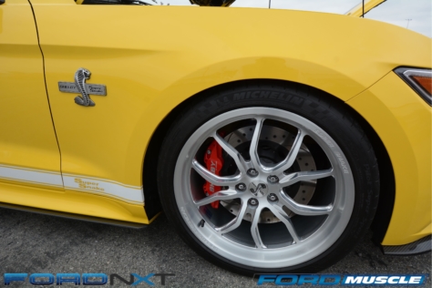 a-gathering-of-snakes-and-more-at-the-carroll-shelby-tribute-show-2018-05-26_03-26-00_860585