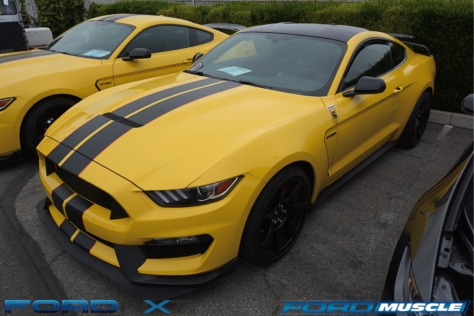 a-gathering-of-snakes-and-more-at-the-carroll-shelby-tribute-show-2018-05-26_03-27-56_348924