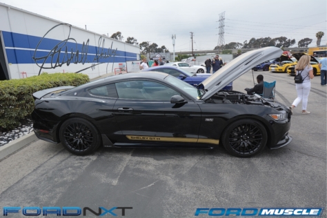 a-gathering-of-snakes-and-more-at-the-carroll-shelby-tribute-show-2018-05-26_03-28-45_448780